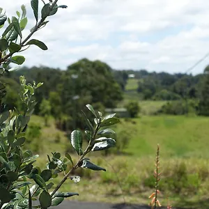 Bed & Breakfast Winston Palmwoods